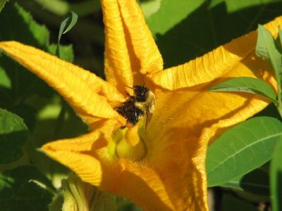 Goings On At Marshview - August Image